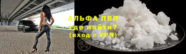 прущие грибы Сясьстрой