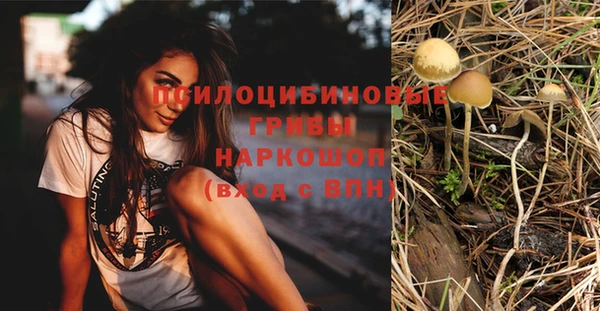молекула духа Струнино