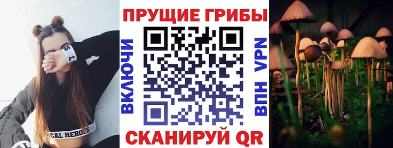 Галлюциногенные грибы мицелий  Балахна 