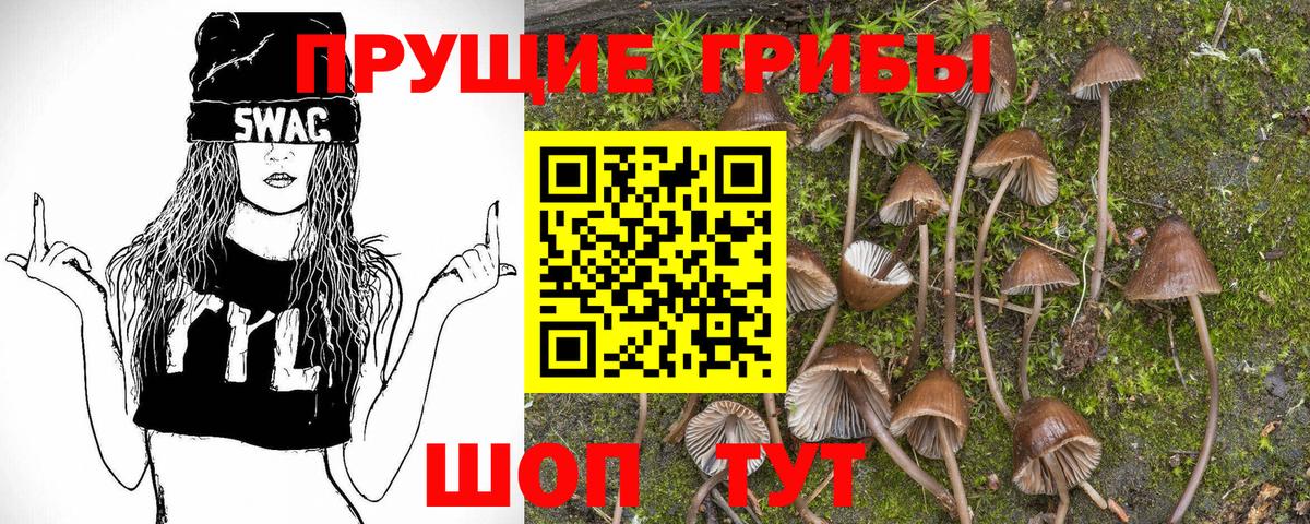 Псилоцибиновые грибы MAGIC MUSHROOMS  магазин продажи наркотиков  Вход с VPN  Балахна  Псилоцибиновые грибы Psilocybe 